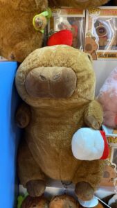 capybara con manta